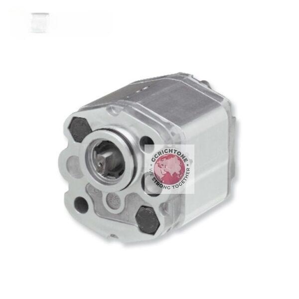Gear Pump MARZOCCHI KL1P D 16G KL1P D 2G KL1P D 25 G KL1P D 3,3 G KL1P D 4,2 G KL1P D 5G KL1P D 5,8 G KL1P D 6,7 GKLIP D 7.5 G