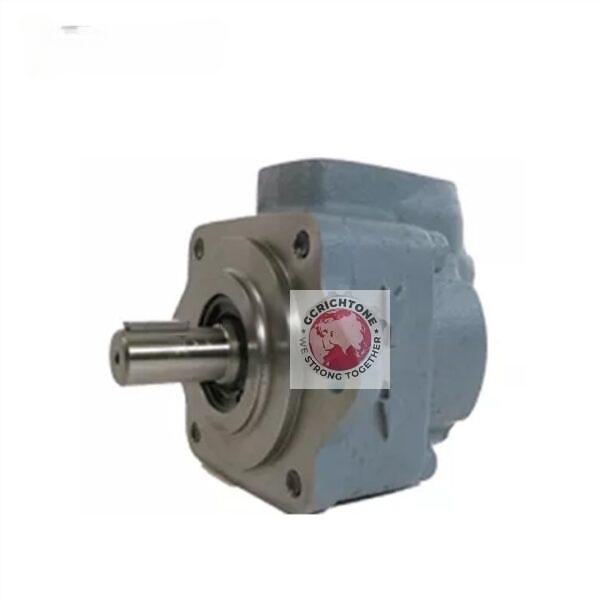 DAIKIN vane pump DS11P DS12P DS13P DS14P